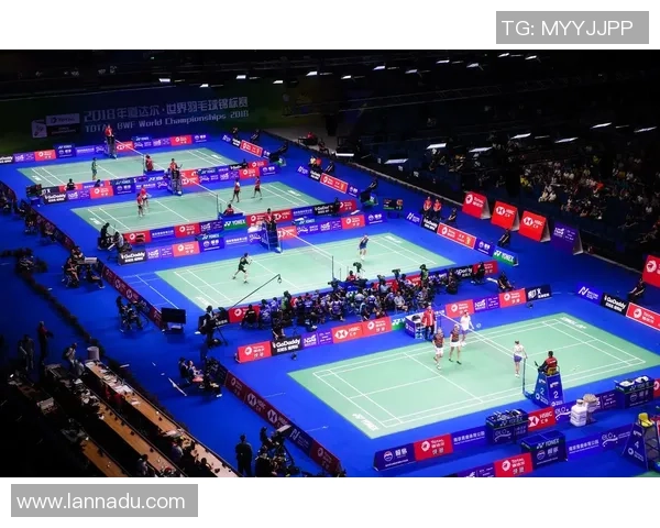 南京羽毛球队区域防守创新之路探索与实践分析