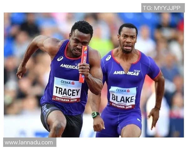 北京网球队在钻石联赛积分榜上以100分稳居第一名展现强劲实力